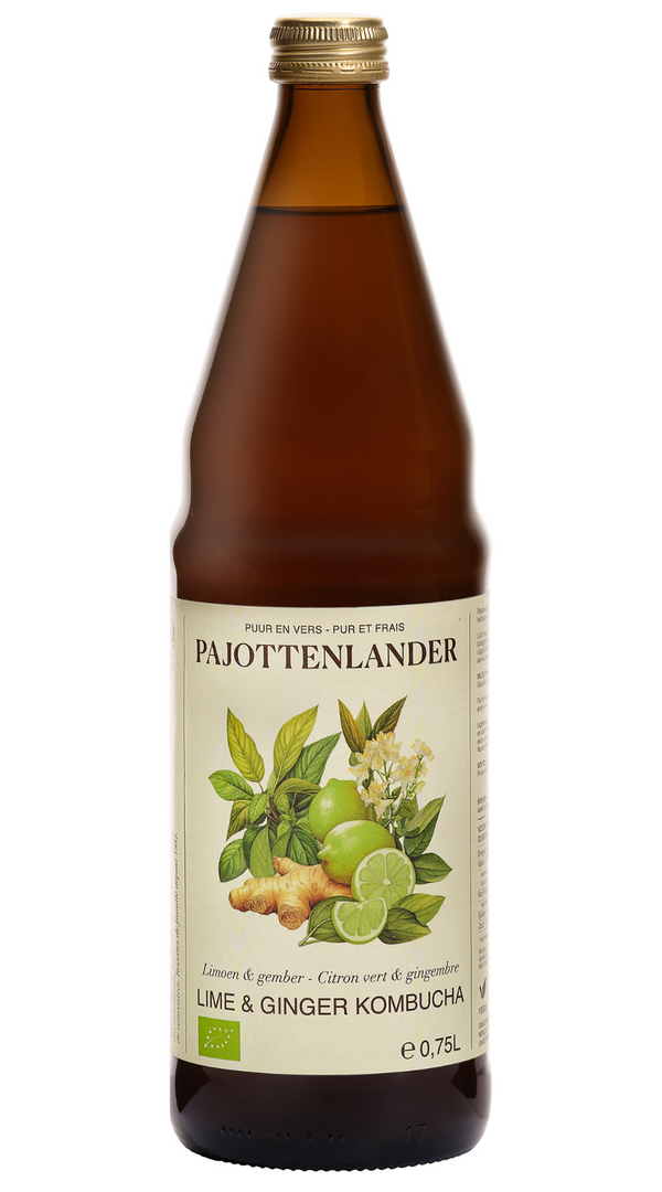 Lime & ginger kombucha PAJOTTENLANDER 75 cl