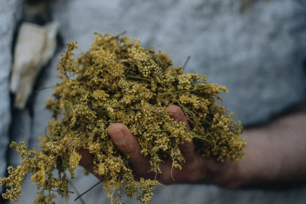 BLONDE beer without alcohol or gluten 33cl - RUN'HARD