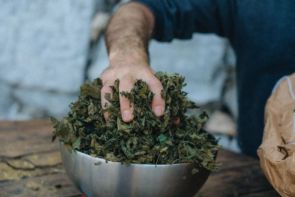 IPA beer without alcohol or gluten 33cl - RUN'HARD