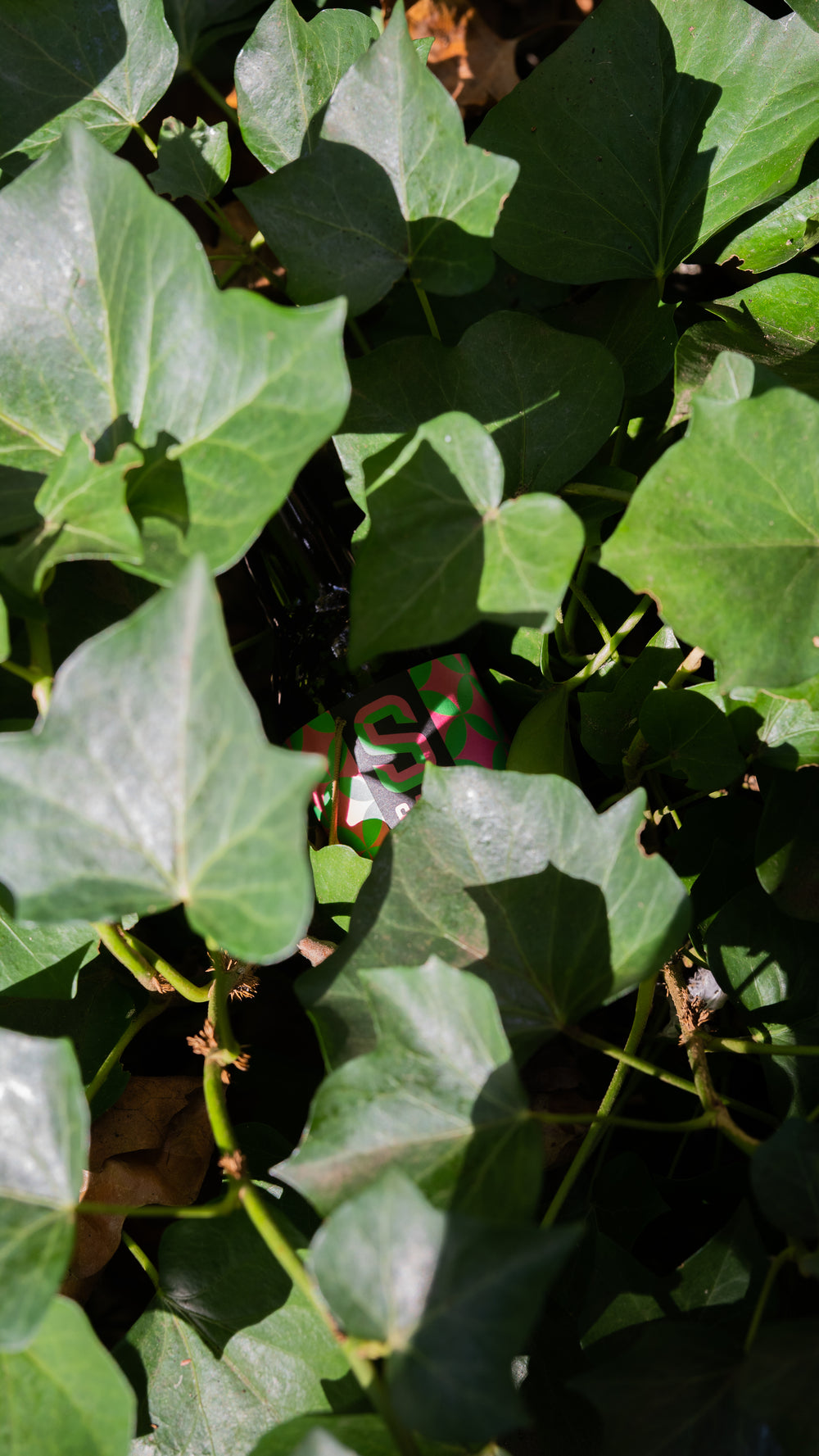 SAM red fruit beer without alcohol 0.5% - 33 cl bottle